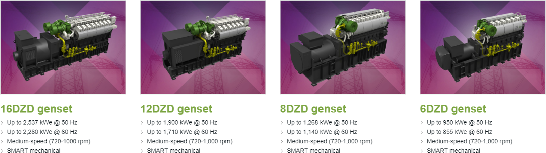 genset solutions that are designed according to the needs of each project